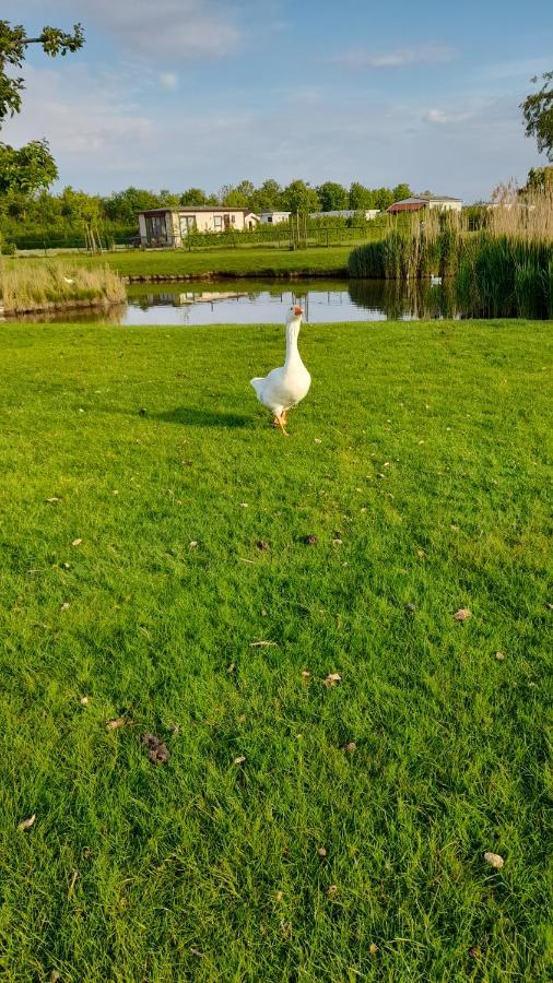 'T Groentje Baarland Kültér fotó